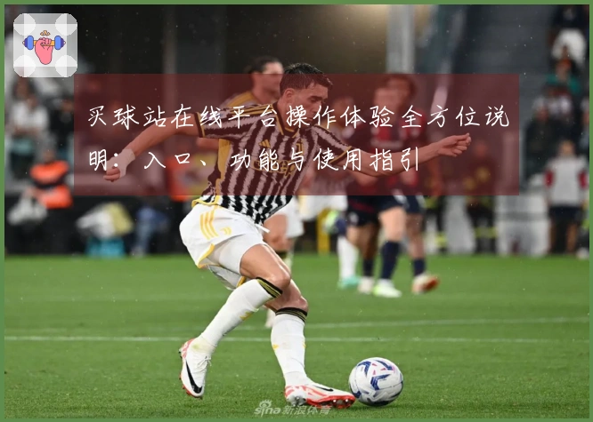 买球站在线平台操作体验全方位说明：入口、功能与使用指引