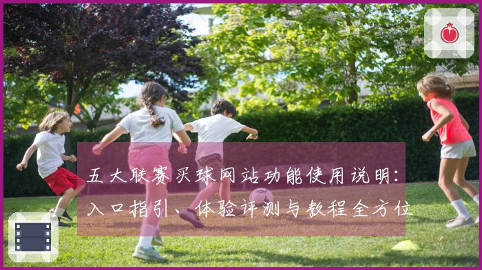 五大联赛买球网站功能使用说明：入口指引、体验评测与教程全方位整合