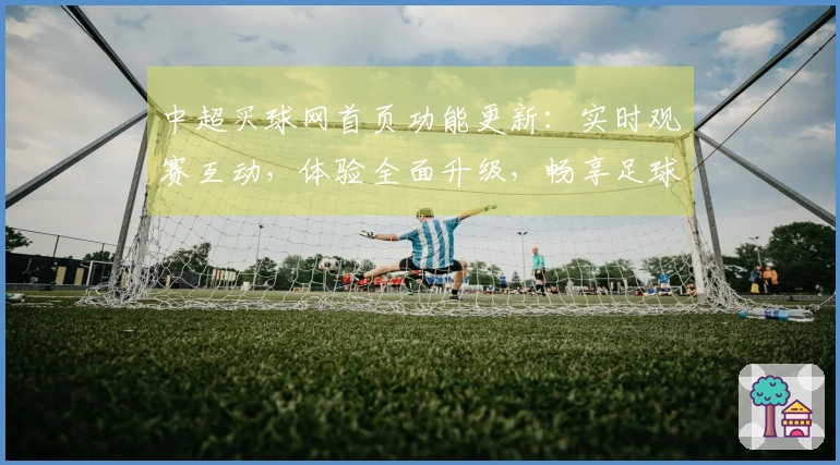 中超买球网首页功能更新：实时观赛互动，体验全面升级，畅享足球盛宴