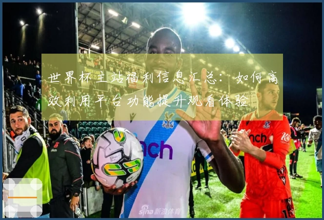 世界杯主站福利信息汇总：如何高效利用平台功能提升观看体验