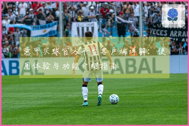 意甲买球官方平台客户端详解：使用体验与功能介绍指南