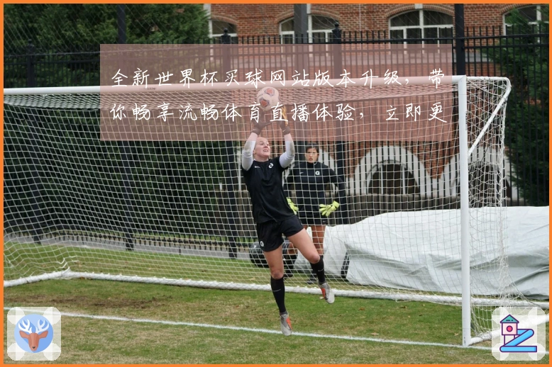 全新世界杯买球网站版本升级，带你畅享流畅体育直播体验，立即更新感受不凡！