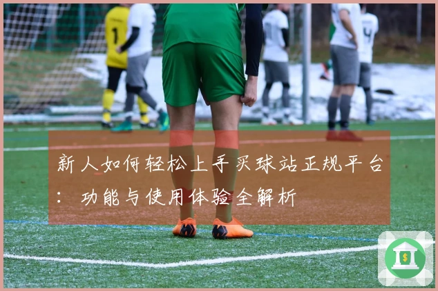 新人如何轻松上手买球站正规平台：功能与使用体验全解析