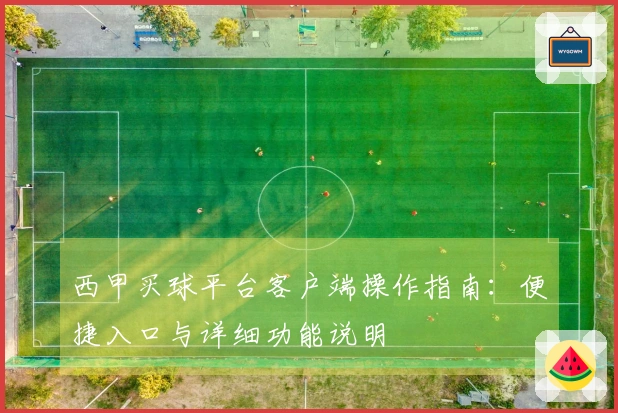 西甲买球平台客户端操作指南：便捷入口与详细功能说明
